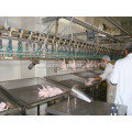 weighing Grading system for poultry processing equipment